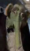 Luxuss avatar