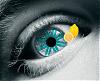 CitrusInYourEyes avatar