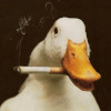 StorFetAnkas avatar